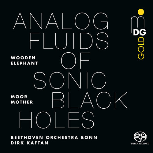 Moor Mother: Analog Fluids of Sonic Black Holes [ Record ]