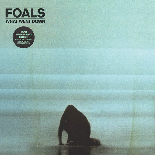 Foals: What Went Down [ Record ]