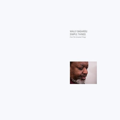 Wally Badarou: Simple Things [ Record ]