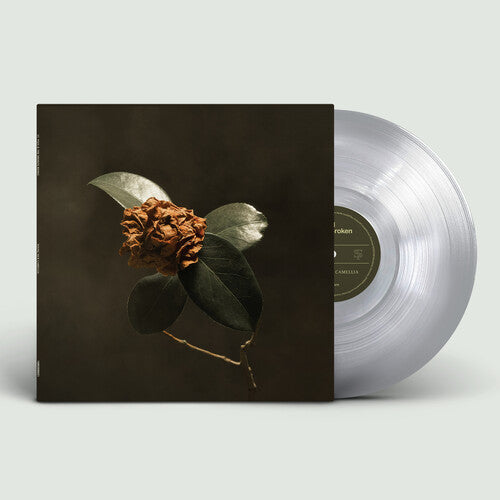 St. Paul & the Broken Bones: Young Sick Camellia [ Record ]