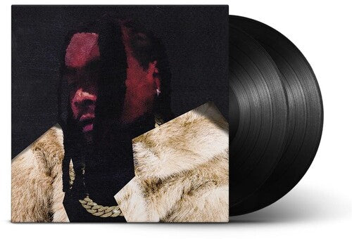 Wale: Everything Is A Lot. [ Record ]