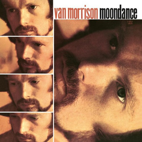 Van Morrison: Moondance [ Record ]