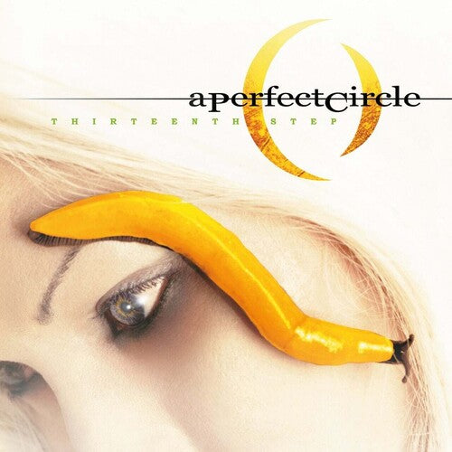 A Perfect Circle: Thirteenth Step [ Record ]