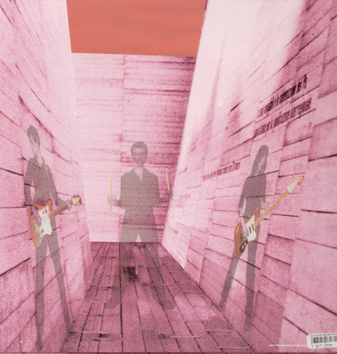 Blonde Redhead: In An Expression of the Inexpressible [ Record ]