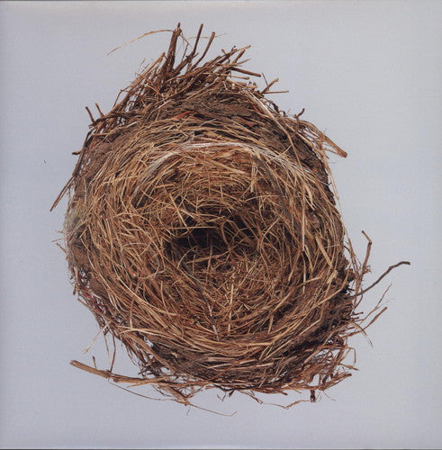 Wilco: A Ghost Is Born [ Record ]