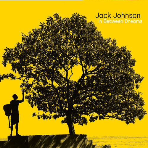 Jack Johnson: In Between Dreams [ Record ]