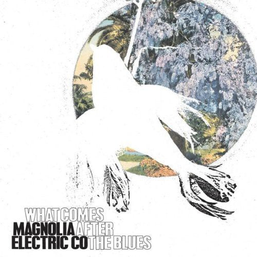 Magnolia Electric Co.: What Comes After the Blues [ Record ]