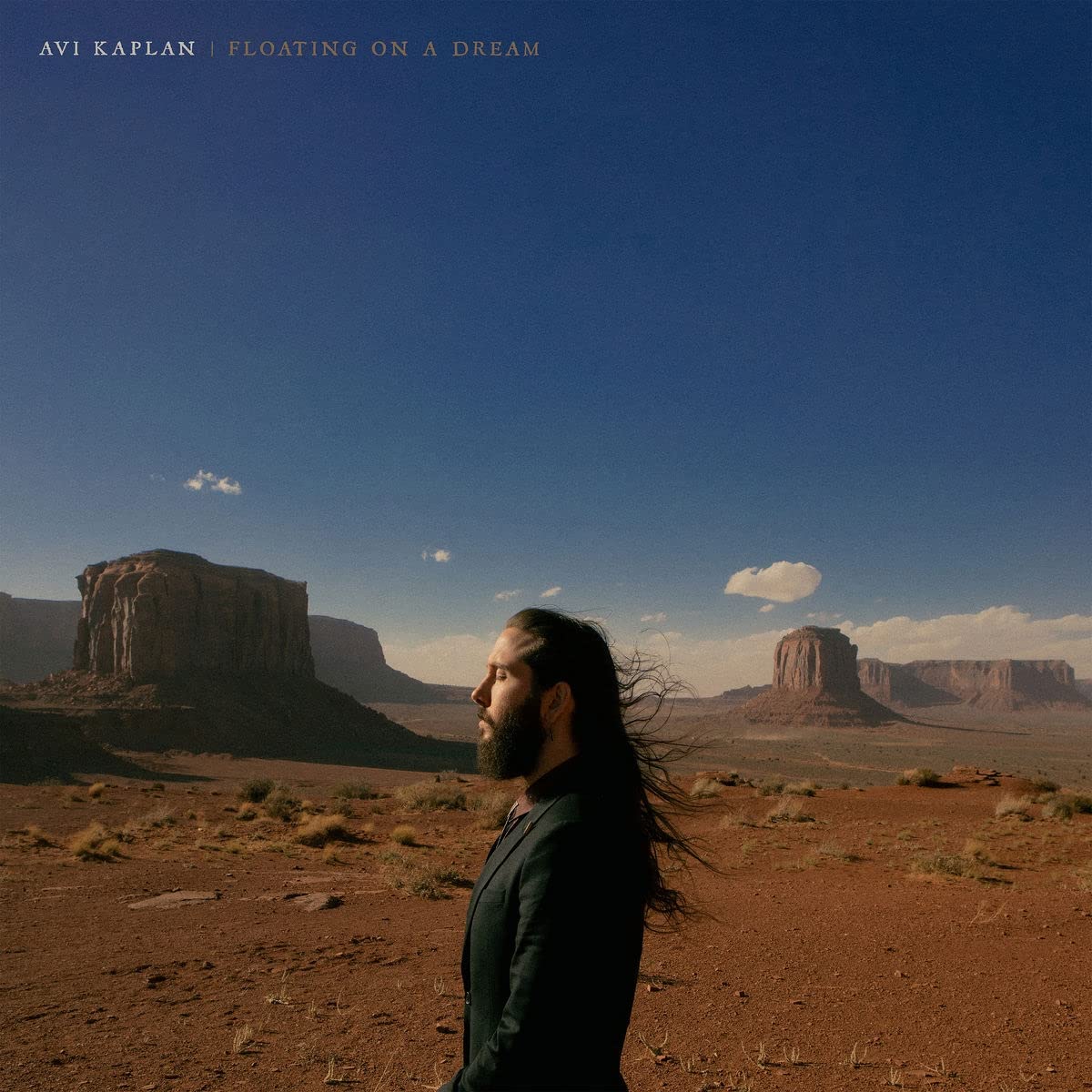 Avi Kaplan: Floating On A Dream [ Record ]