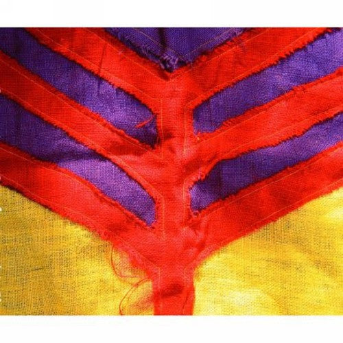 Yeah Yeah Yeahs: Show Your Bones [ Record ]